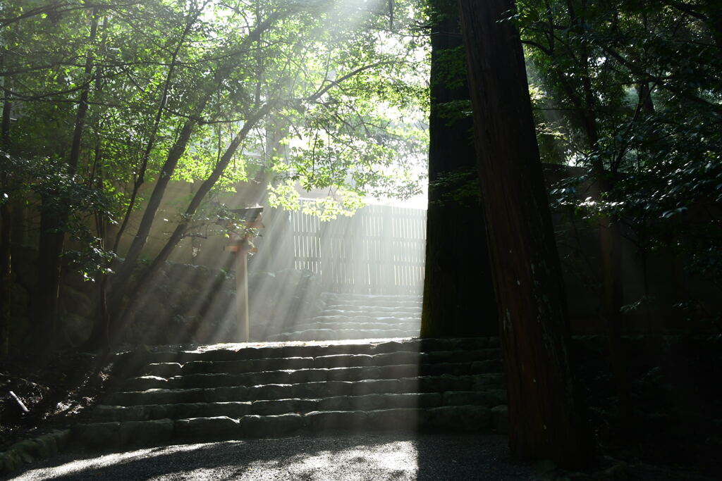 伊勢神宮　光彩