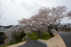 三重　宮川堤