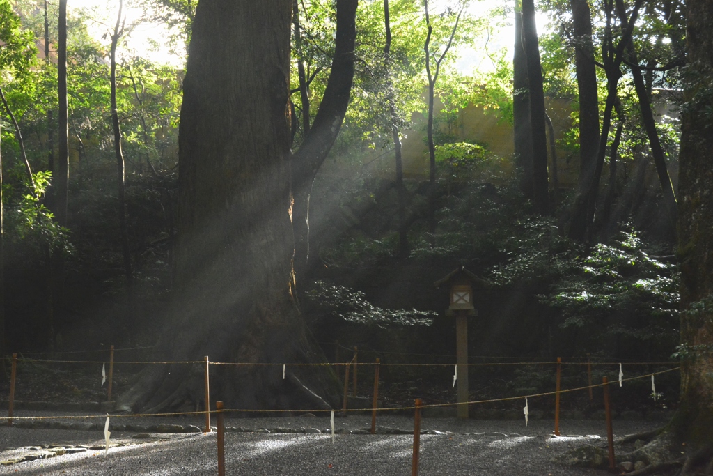 内宮　神殿と光彩