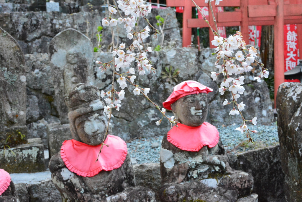 地蔵さんとしだれ桜