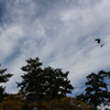 飛躍
