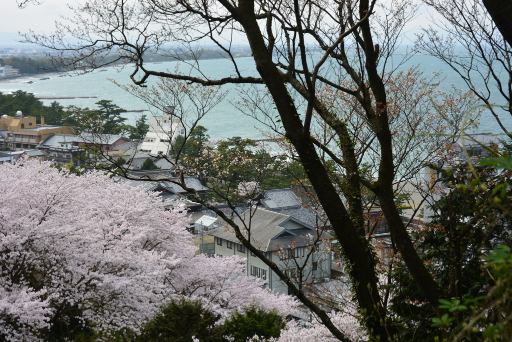 桜と二見町