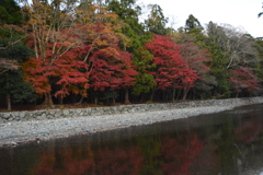 伊勢神宮　内宮　紅葉