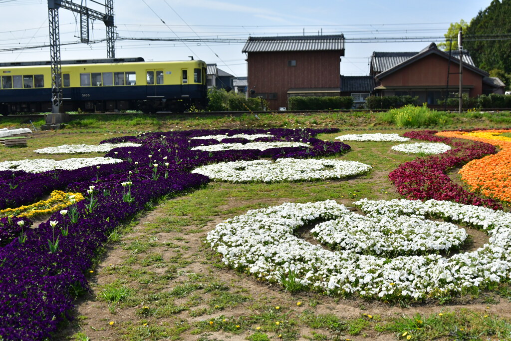 明和　空と風の花ばたけ