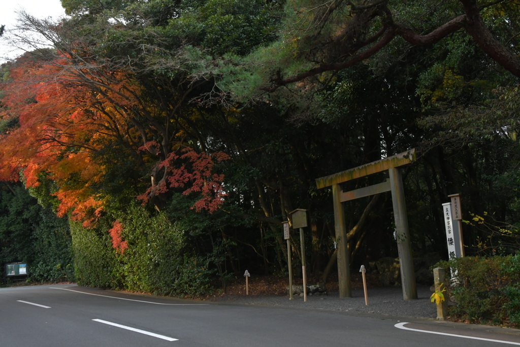 伊勢　倭姫宮　紅葉