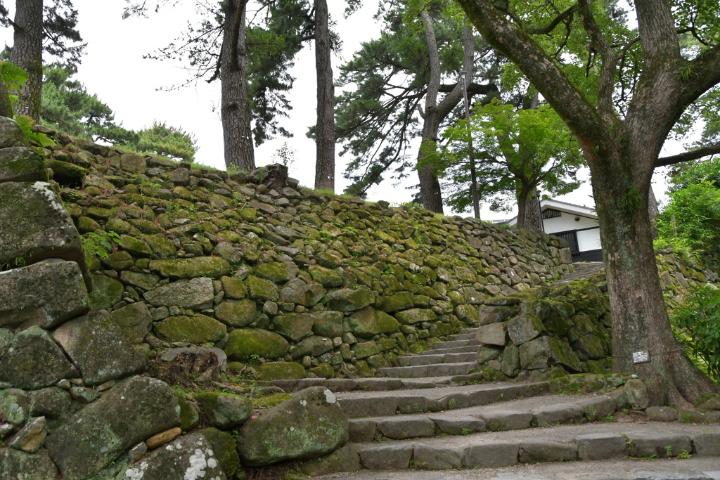 岡崎城　石垣