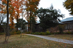 伊勢　神宮美術館と紅葉