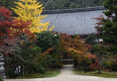 玉城　廣泰寺　紅葉