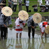 磯部　御田植祭