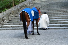 内宮　神馬