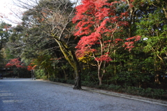 内宮　紅葉