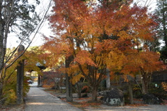 玉城　廣康寺　紅葉