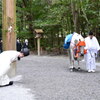 元旦　笑智号見参