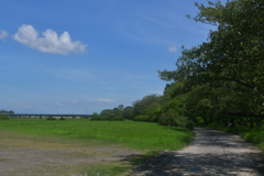 夏の宮川堤