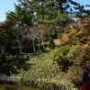 津　偕楽公園　紅葉