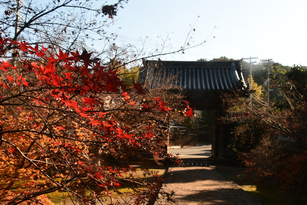 玉城　広泰寺　紅葉