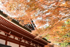 延暦寺と紅葉