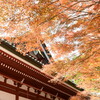 延暦寺と紅葉