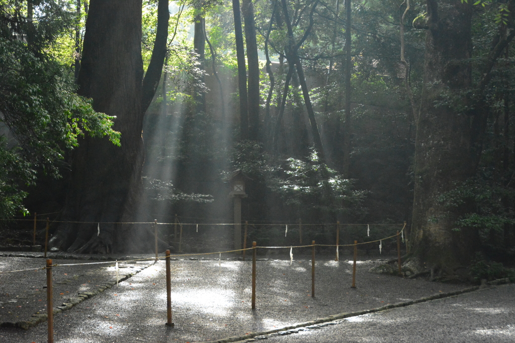 内宮　神殿と光彩