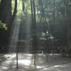 内宮　神殿と光彩