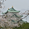 城の日