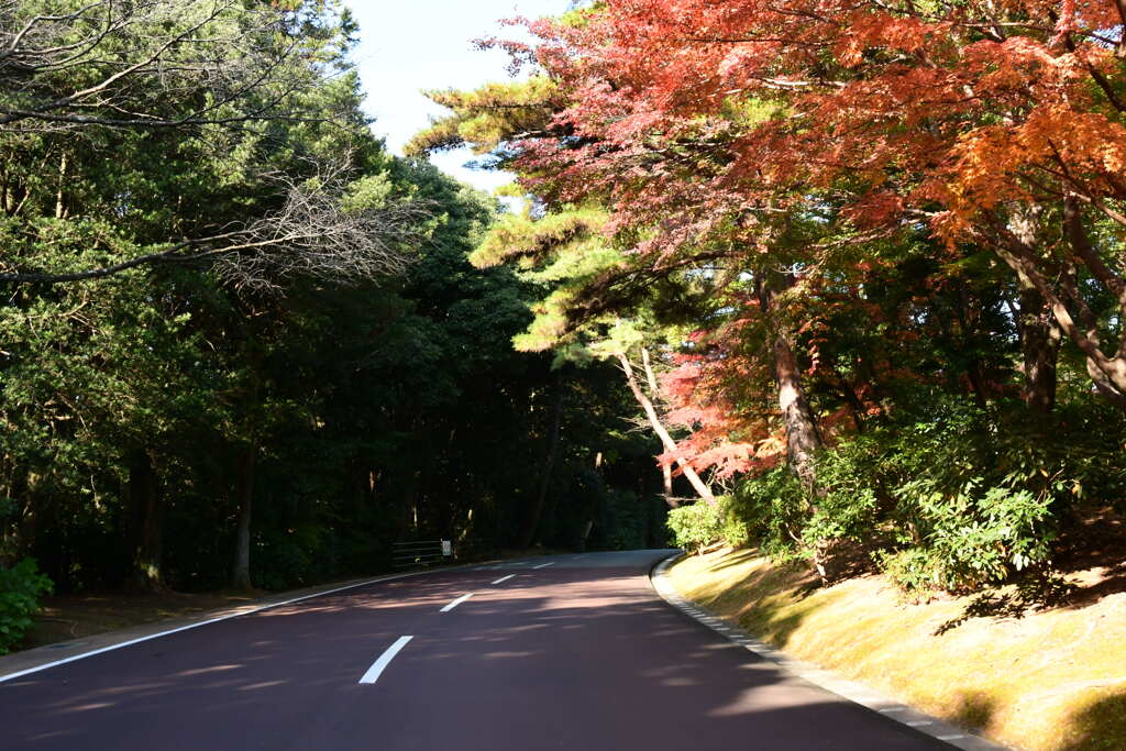 伊勢　徴古館　紅葉