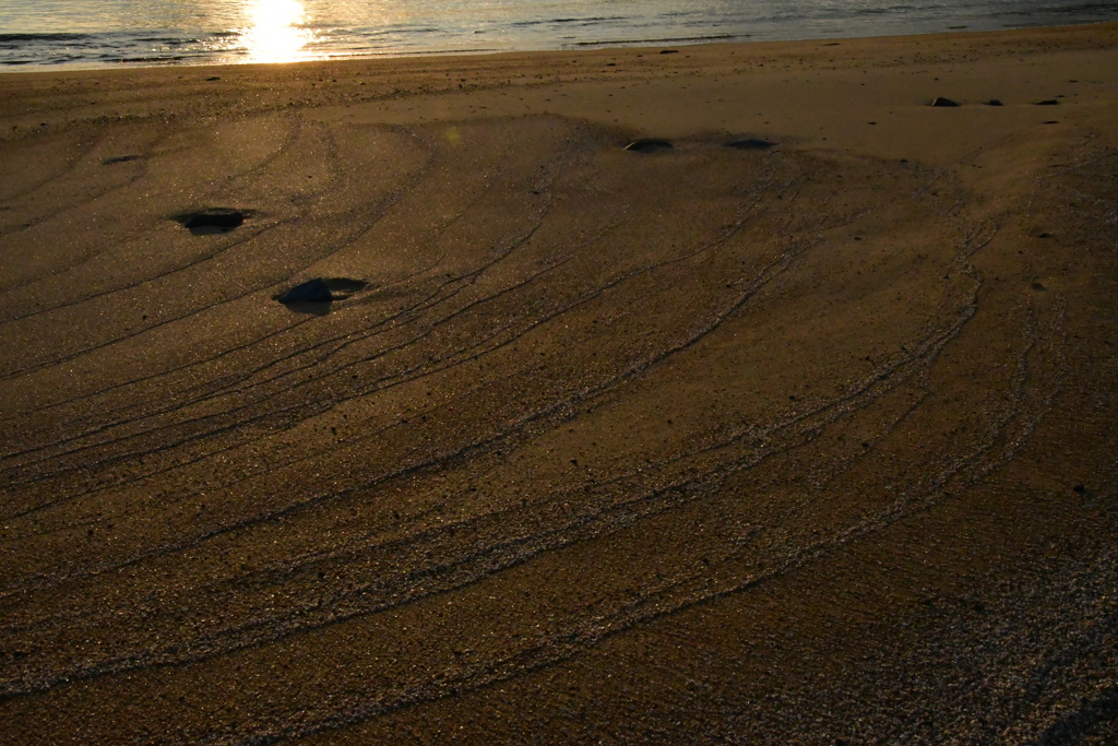 砂浜と夕日