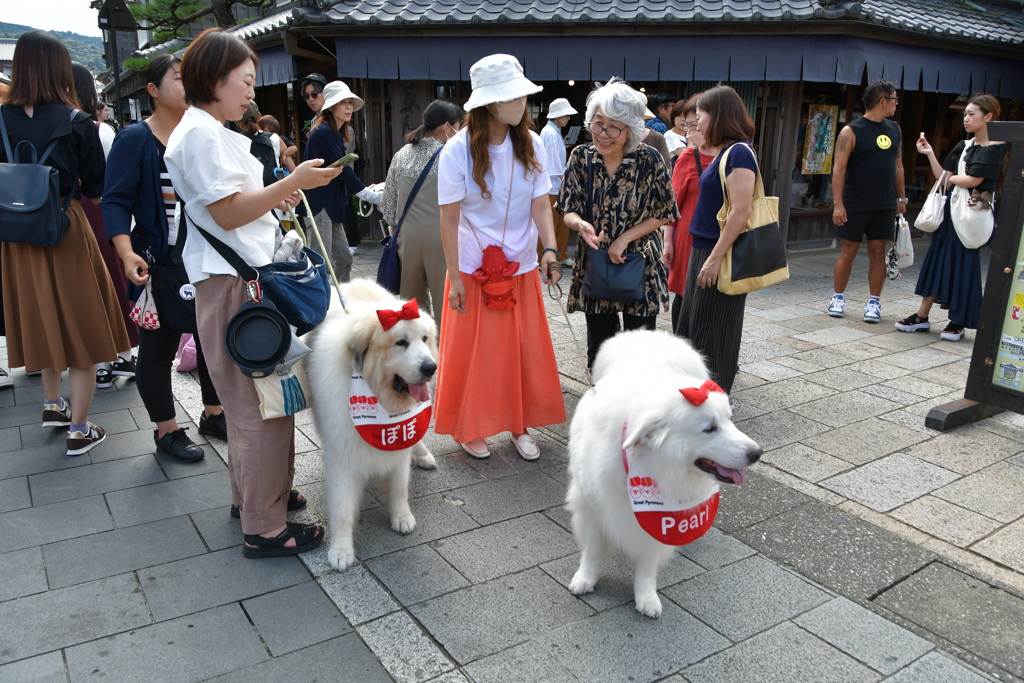 おかげ横丁に集合！