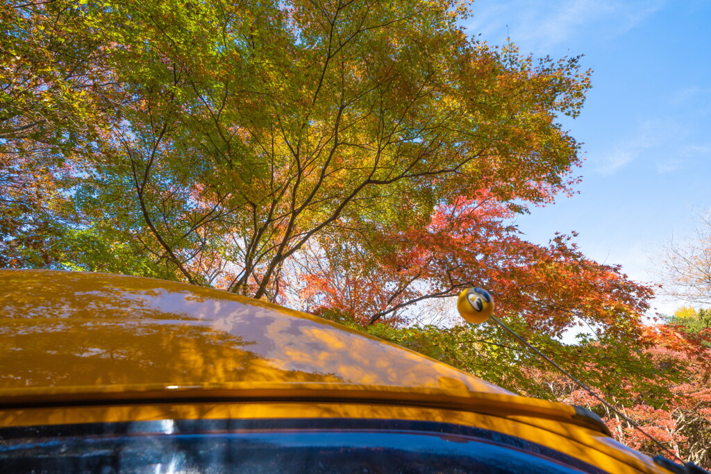 屋台のワゴン車