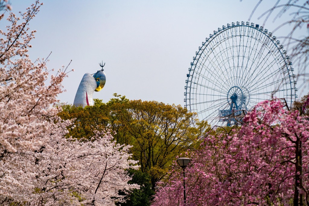 春の日差し