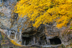 秋の玄武洞