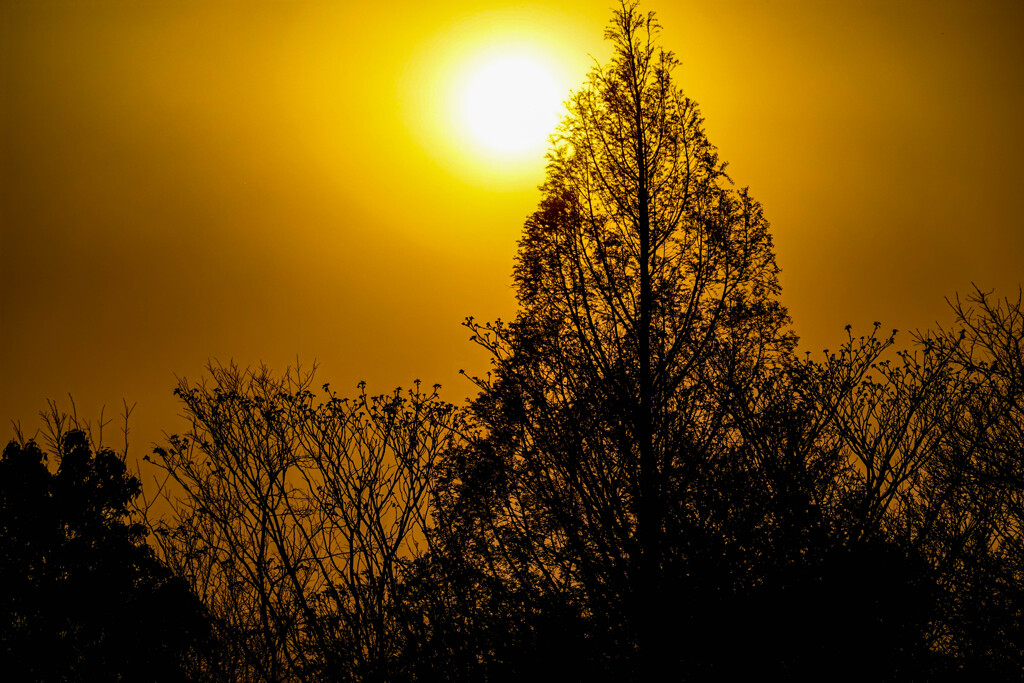 黄砂の夕日
