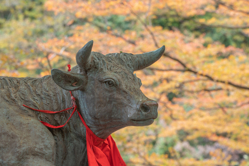 牛瀧山