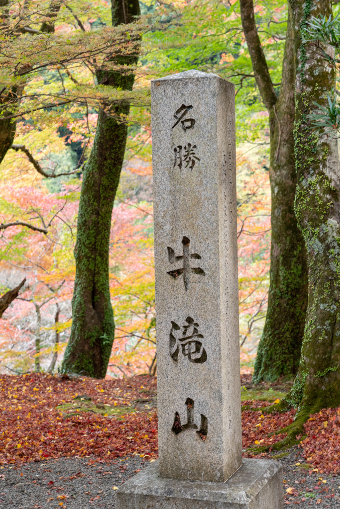 牛滝山