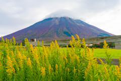 大山まきばみるくの里