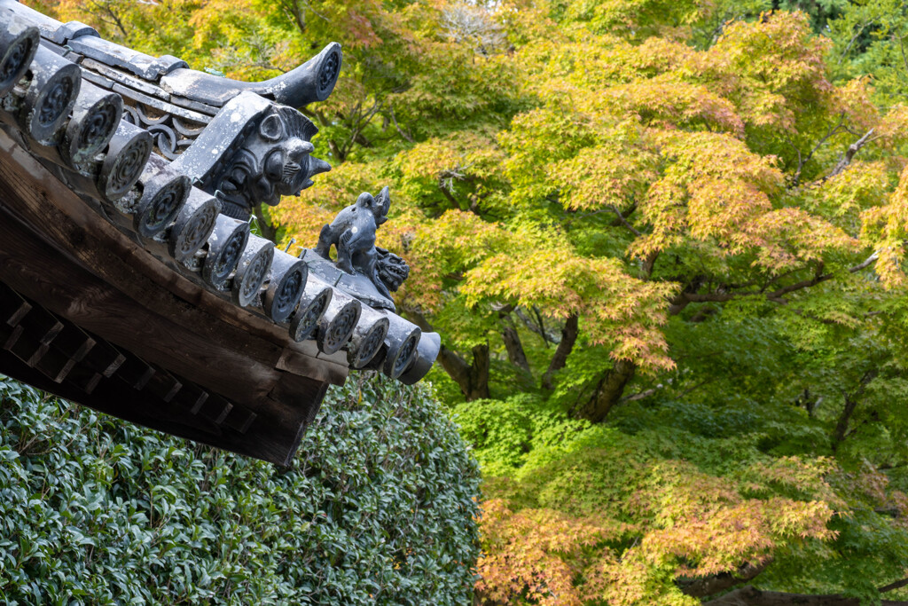 本坊　久安寺