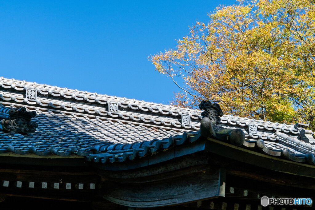 地元の神社