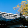 地元の神社