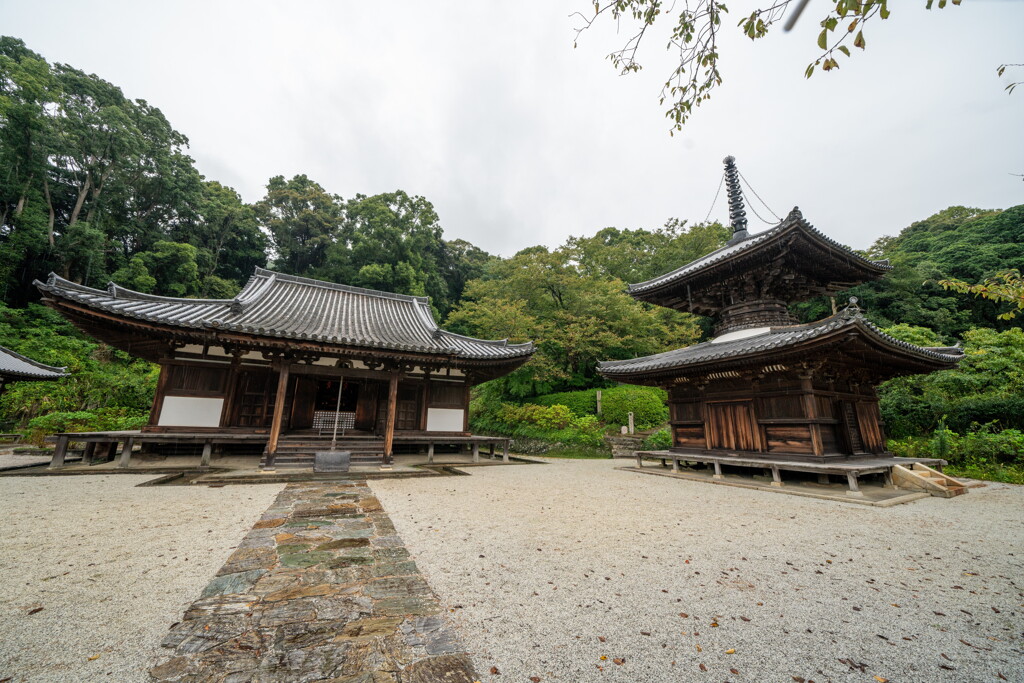 長保寺　本堂　多宝塔