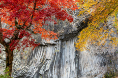 秋の青龍洞－1