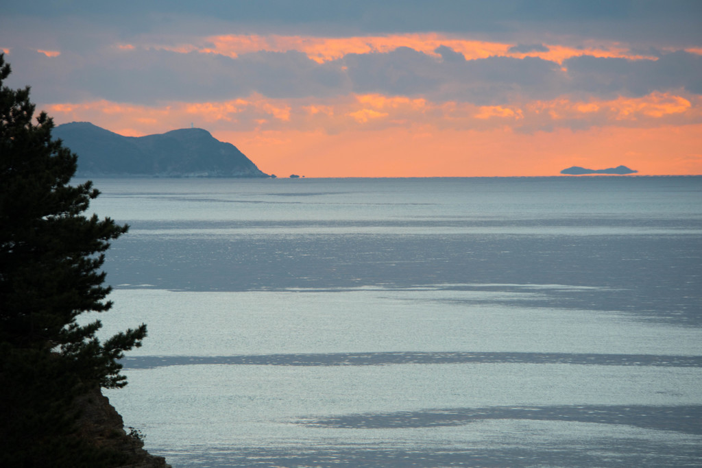 浮島