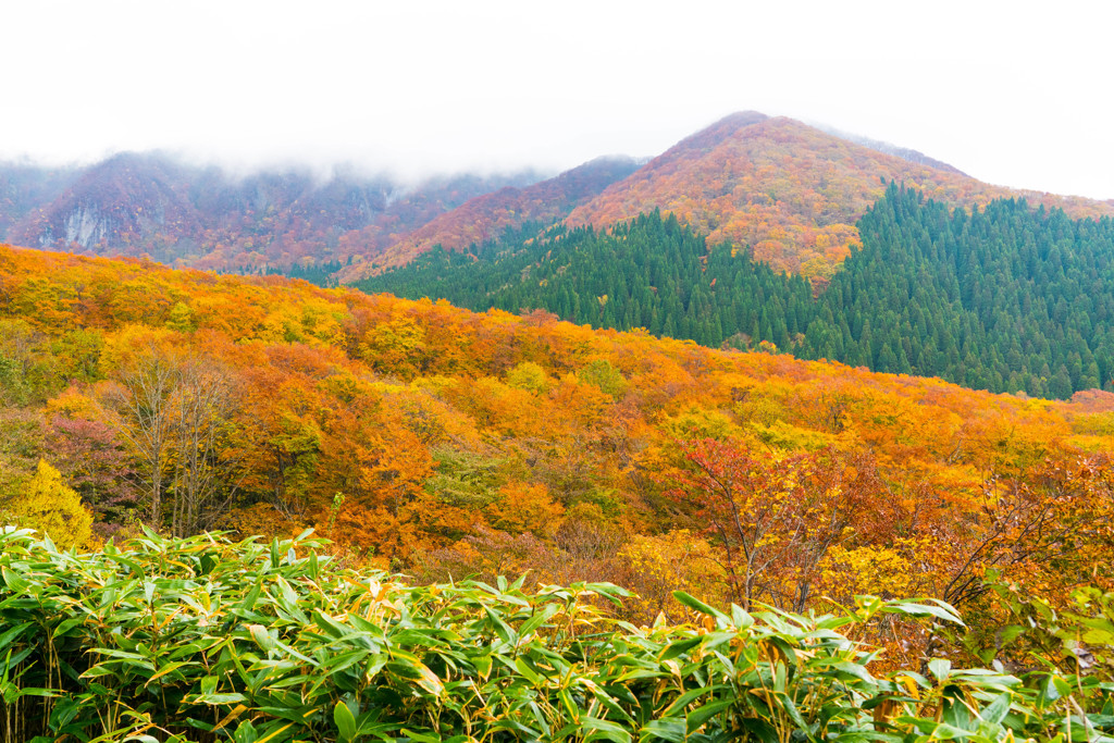 大山　鍵掛峠