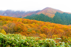 大山　鍵掛峠