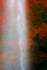 秋色の噴水