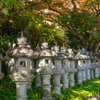 参道の石灯籠
