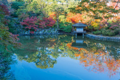 早朝の「西の丸庭園」