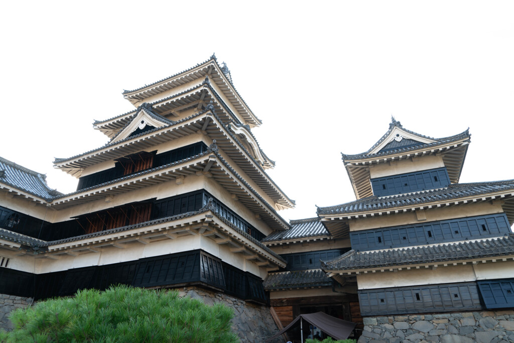 松本城－Ⅴ