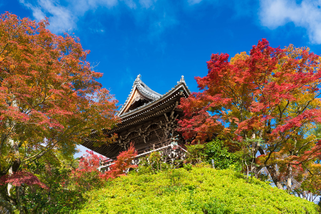 善峰寺山門前
