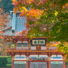 勝尾寺山門