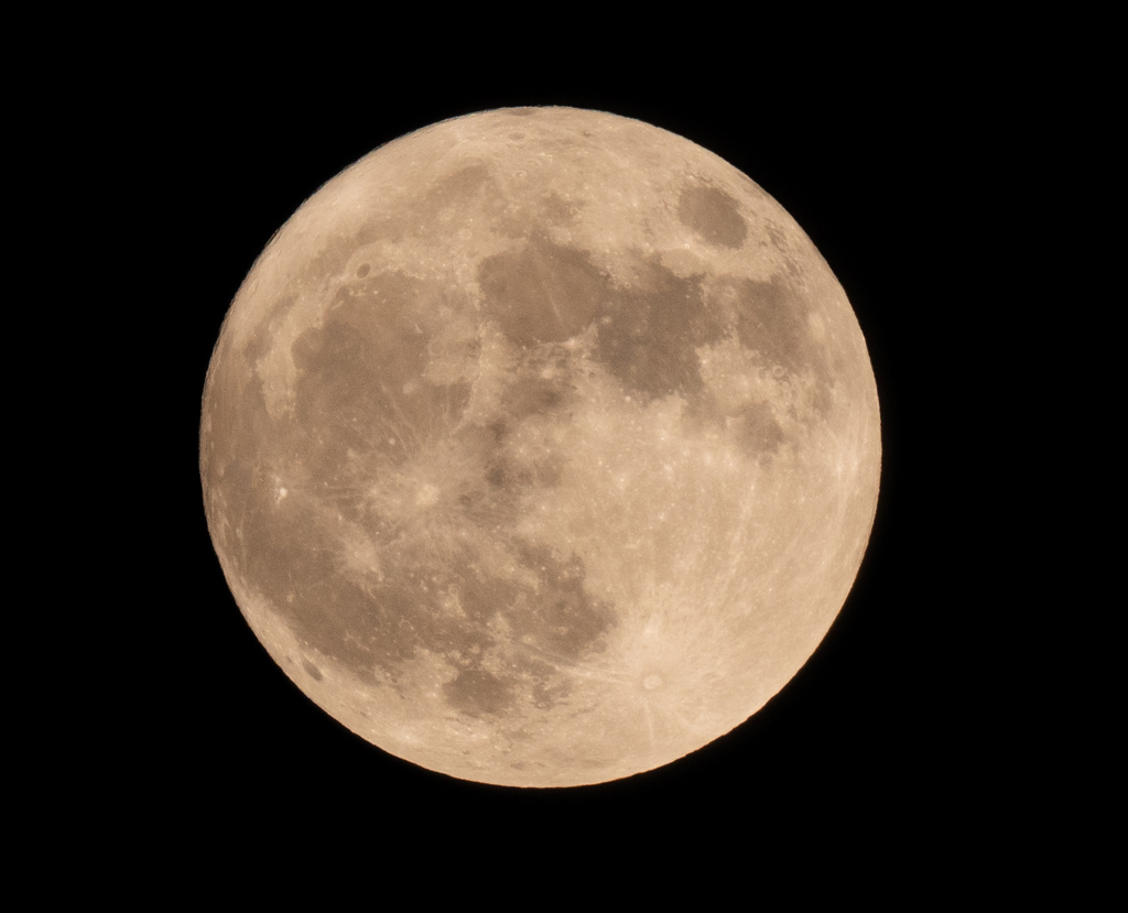 ハロウィン満月　今年最小でブルームーン　